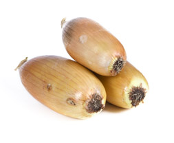 Gul Lök Lång Klass 1