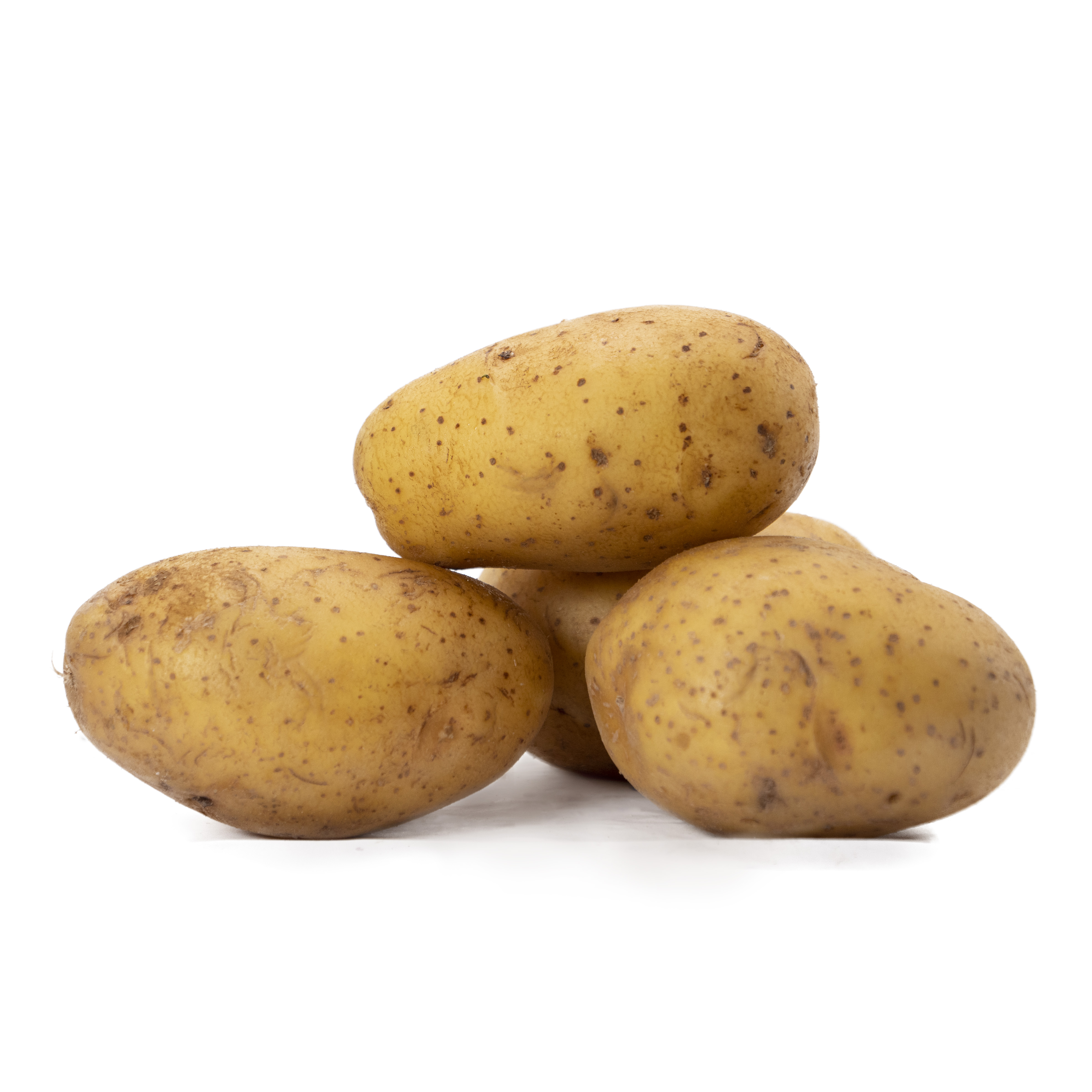 Potatis King Edward Stor Tvättad Sverige
