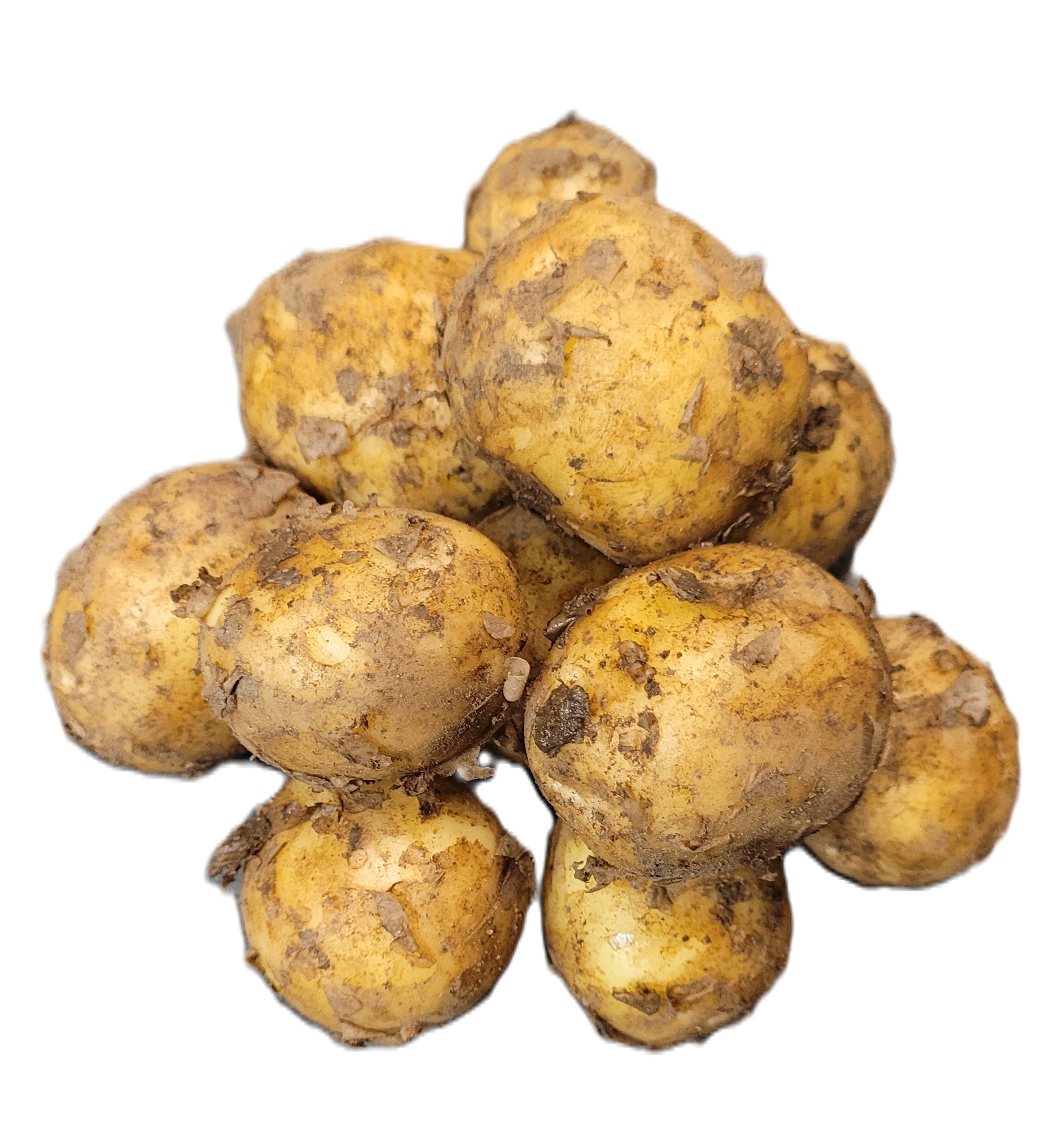 Färskpotatis Otvättad Sverige