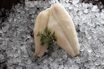 Stillahavsspättafilé +150g MSC