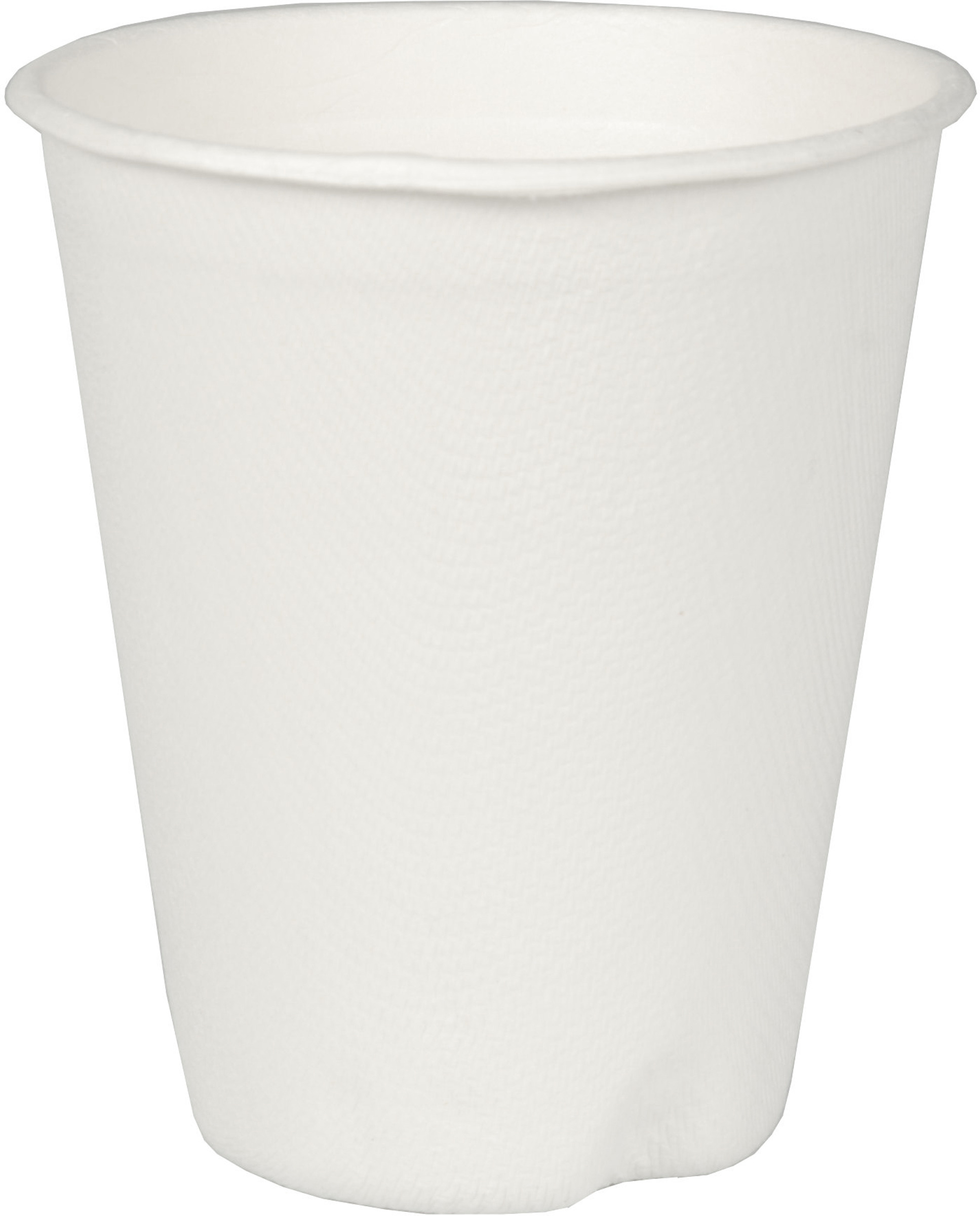 Varmdrycksbägare Sockerrör Vit 20cl