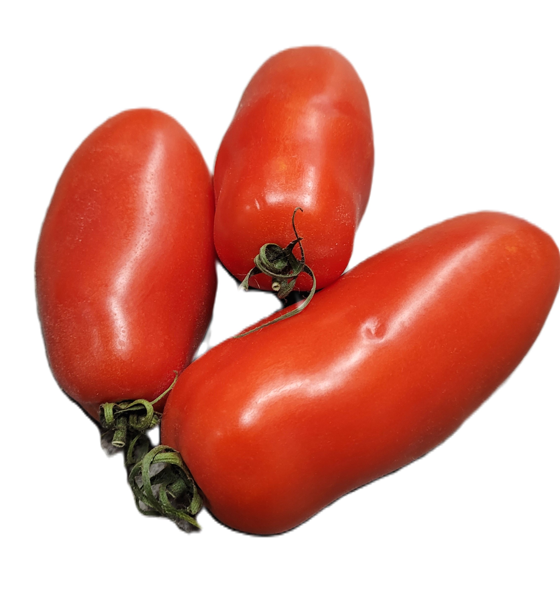 Tomat San Marzano Klass 1 Italien