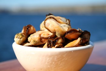 Blåmusslor utan Skal MSC