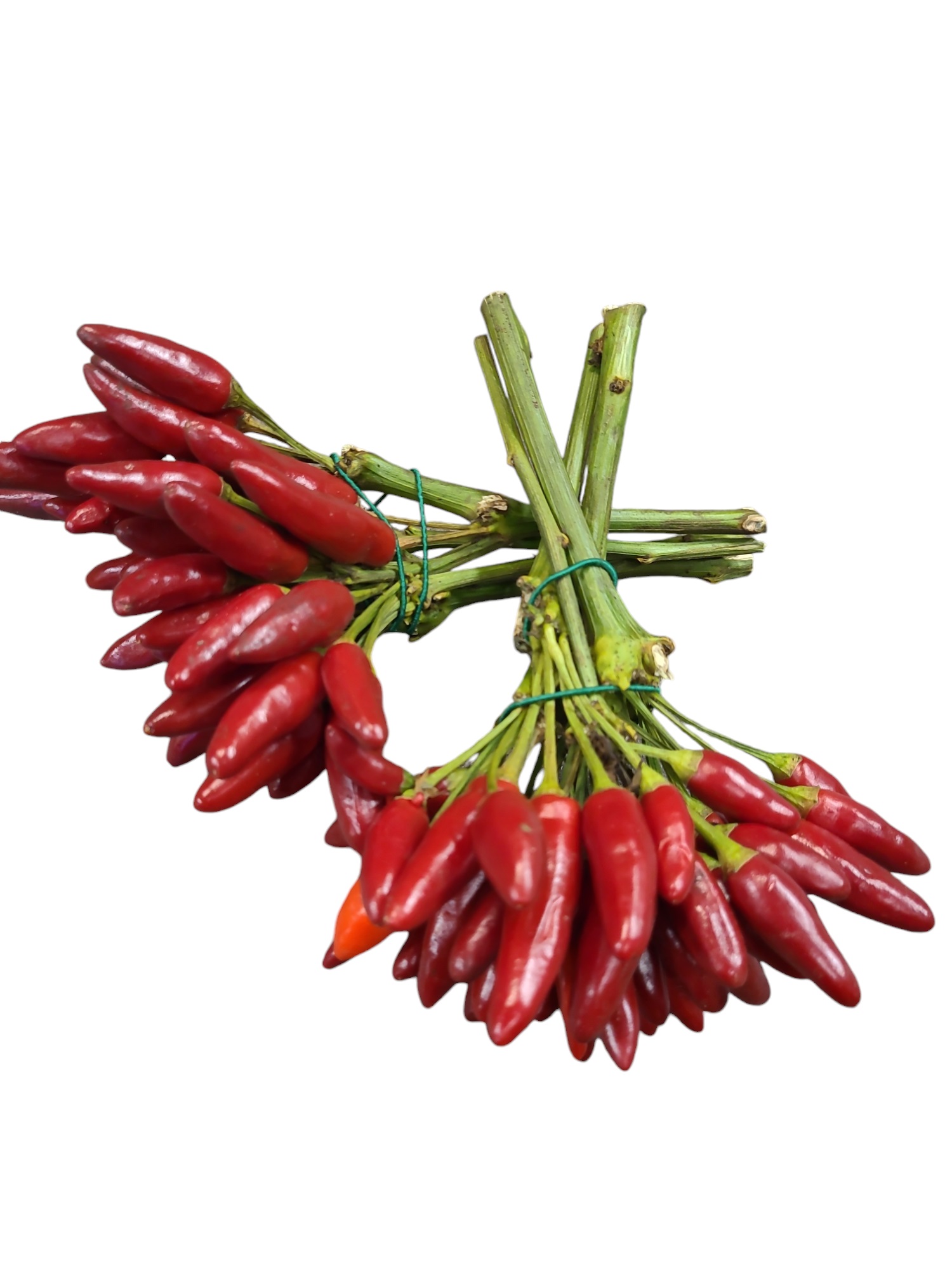 Peppar Röd i Knippe Italien