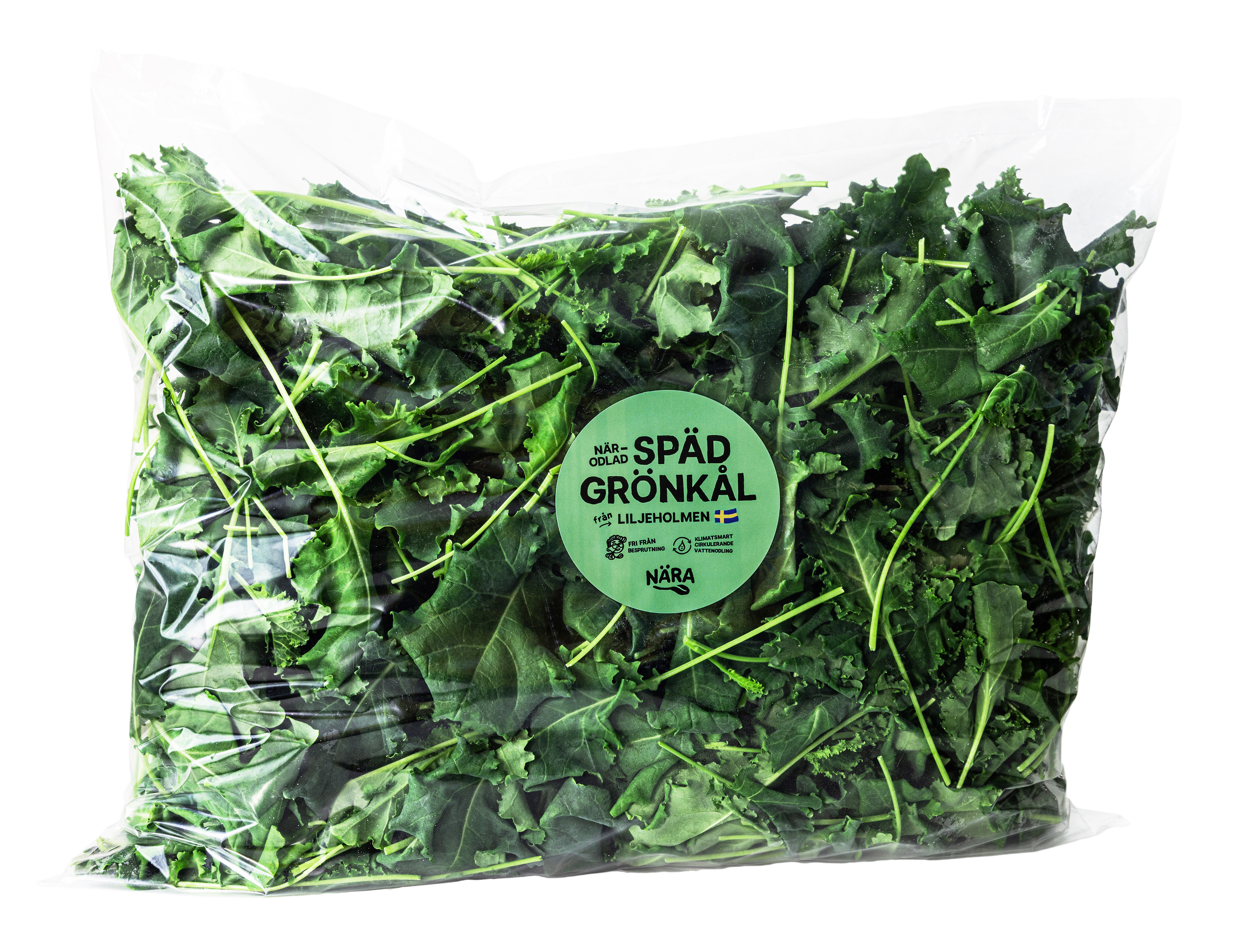 Grönkål Späd 500g Sverige