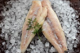 Koljafilé 100-200g MSC