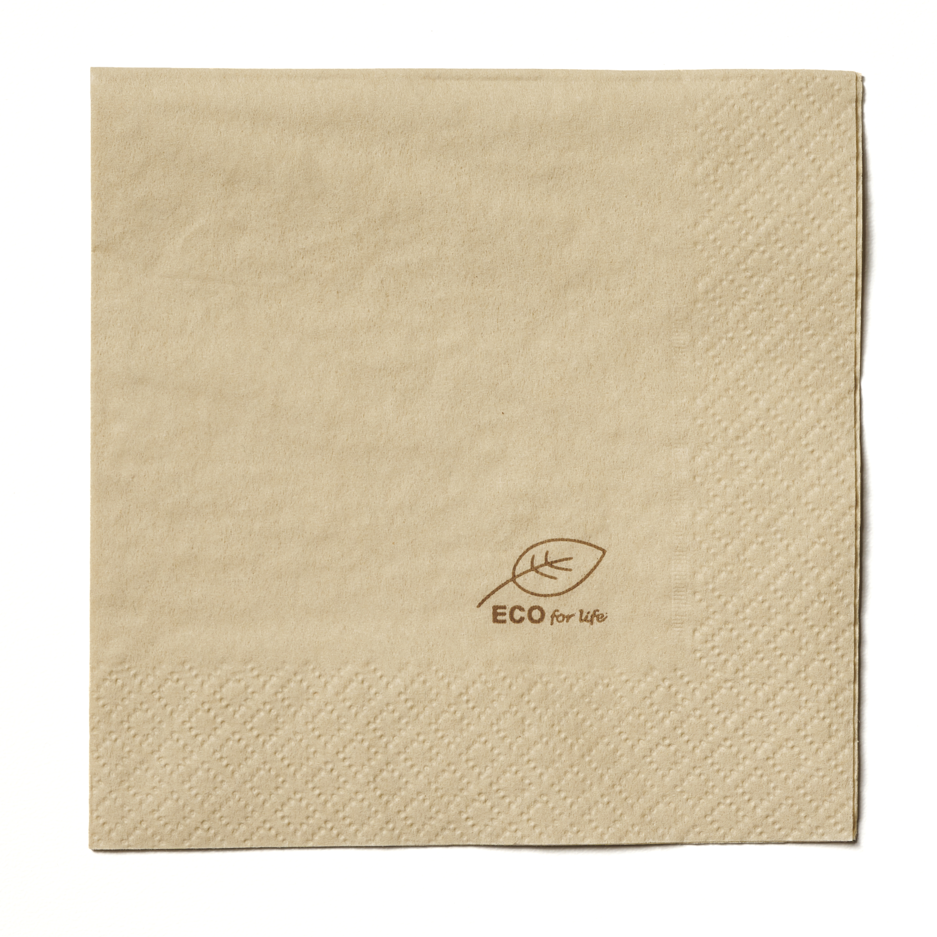 Servett 2-lager 24x24cm Natur ECO