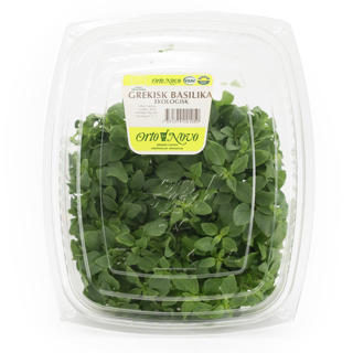 Basilika Grekisk EKO KRAV Sverige