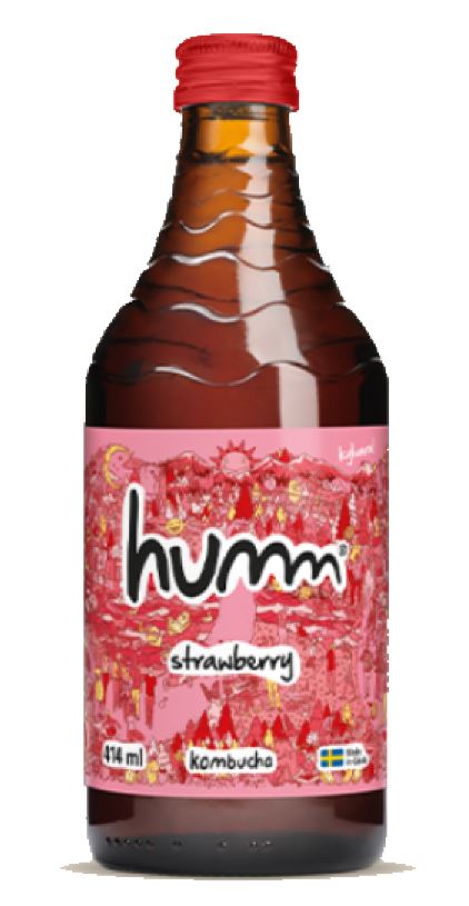 Kombucha Strawberry ENGL EKO