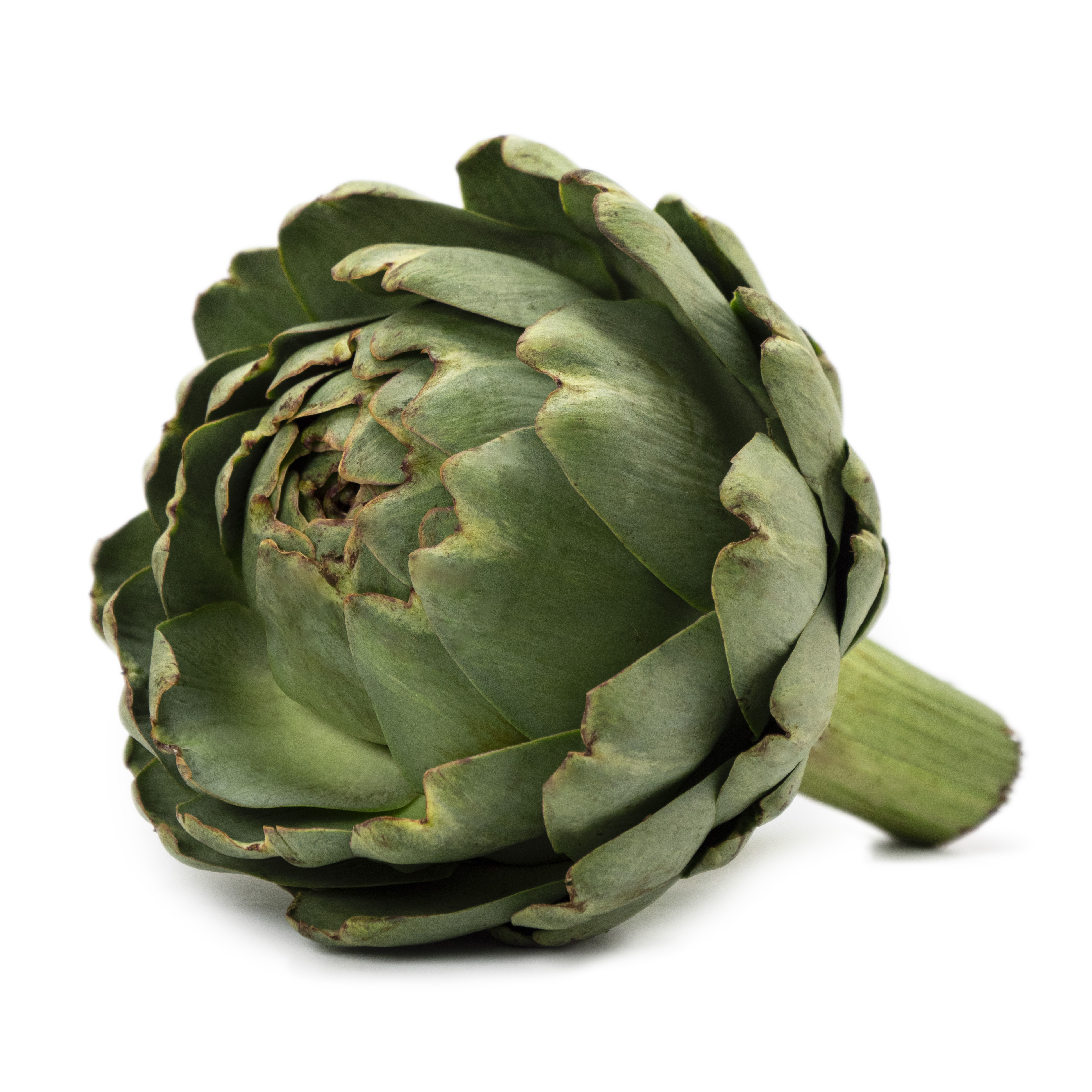 Kronärtskocka Grön