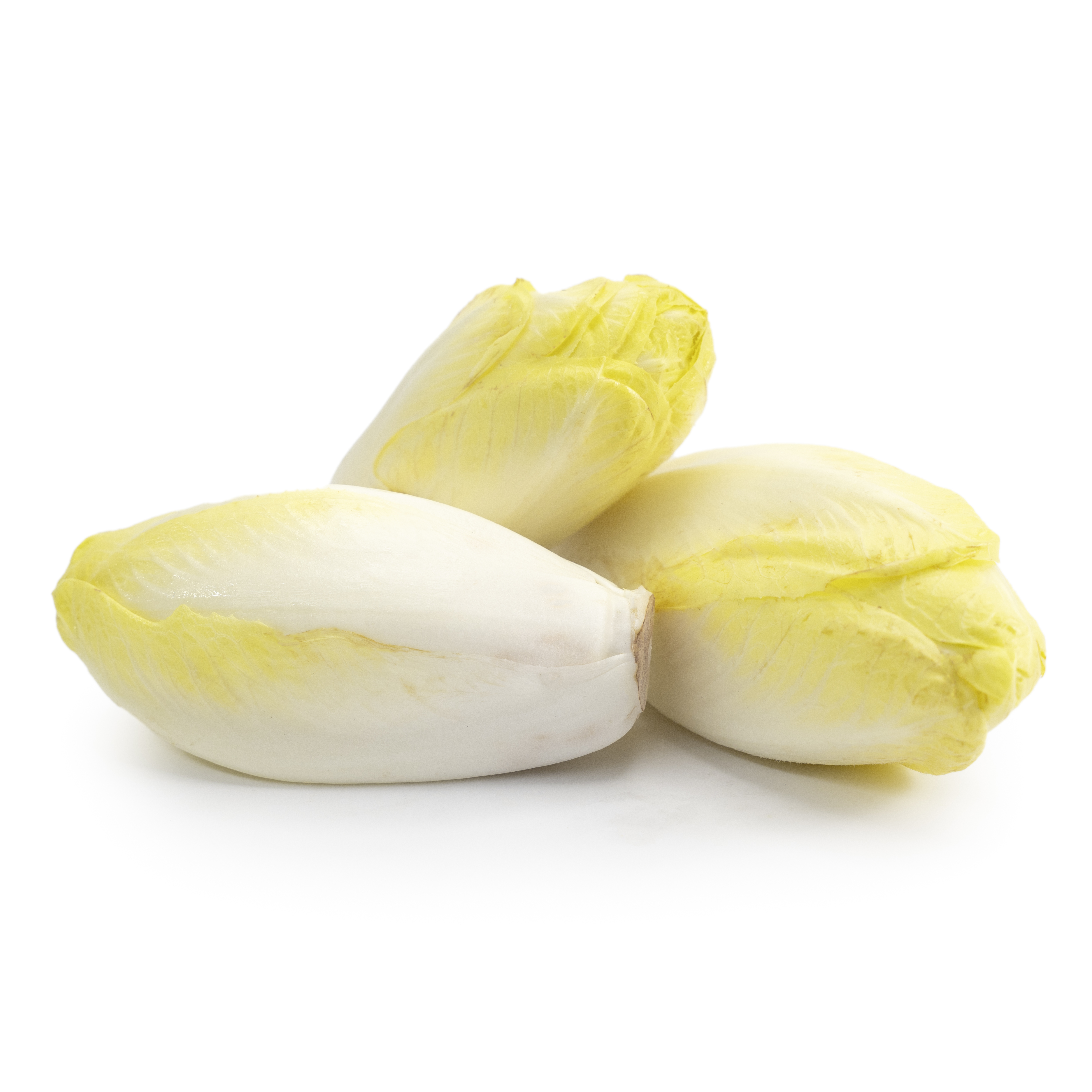 Sallat Endive Klass 1