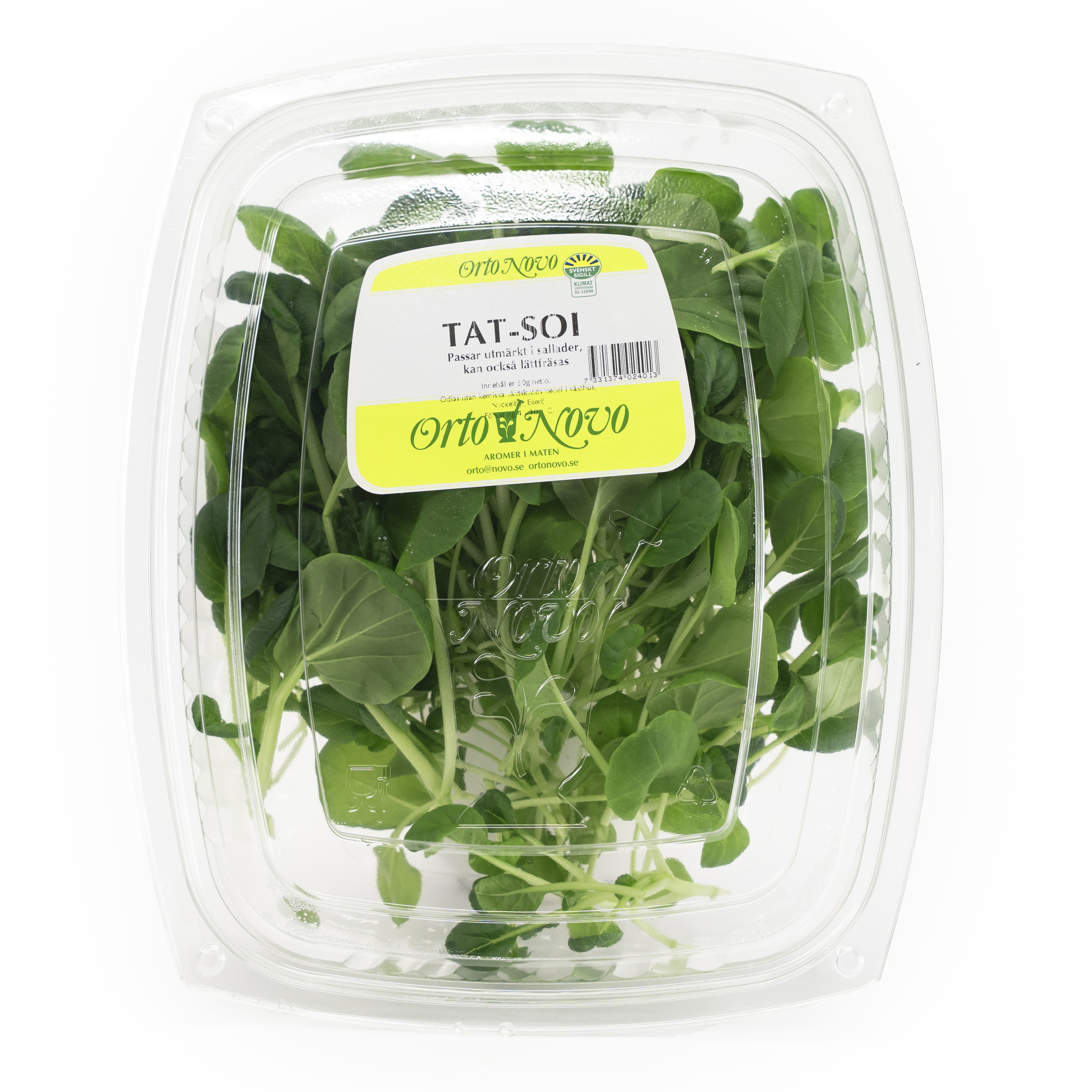 Tatsoi