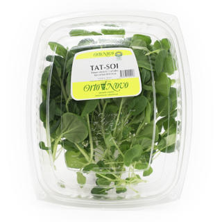 Tatsoi
