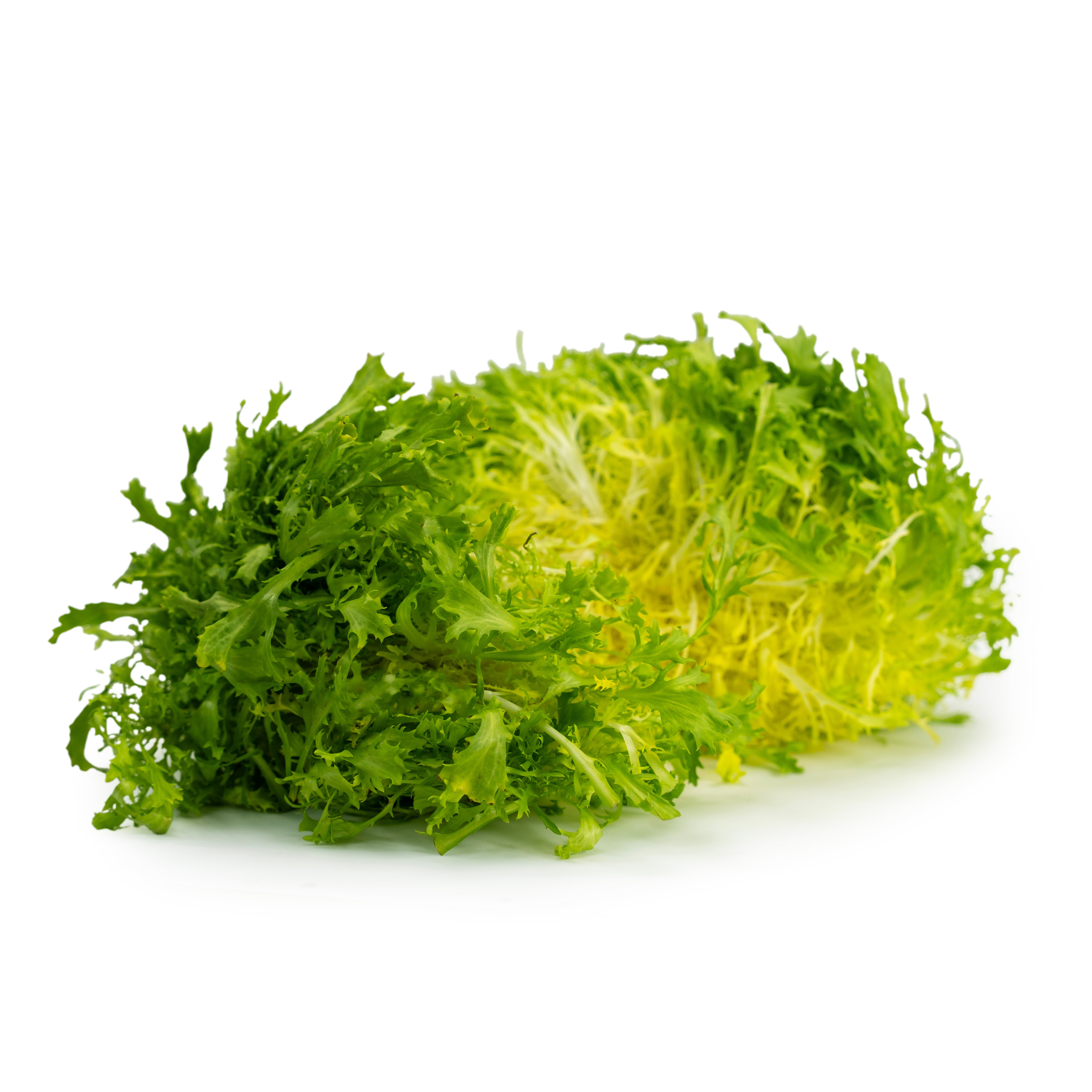 Sallat Frisee Gul Klass 1