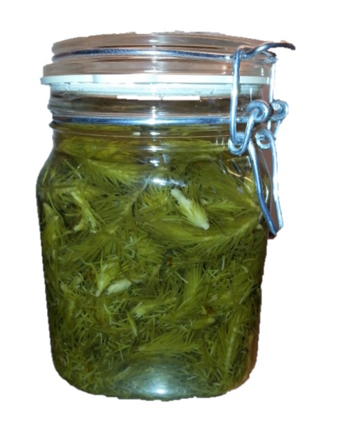 Granskott Inlagda i Kryddlag