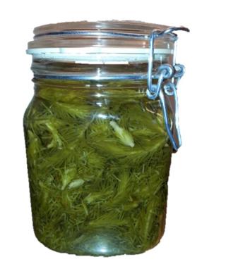 Granskott Inlagda i Kryddlag