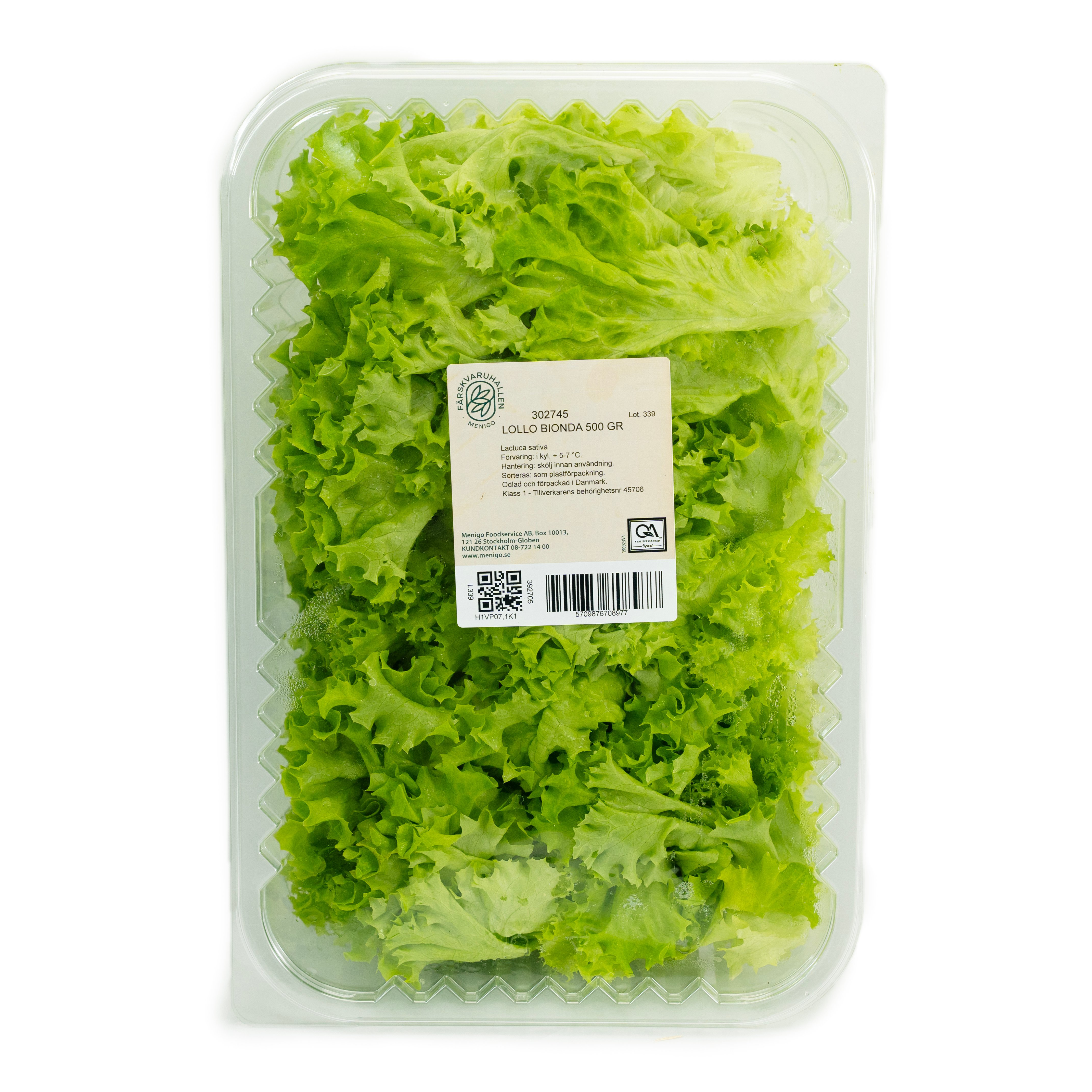 Sallat Lollo Biondo i Tråg Klass 1