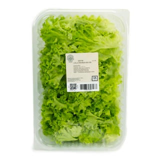 Sallat Lollo Biondo i Tråg Klass 1