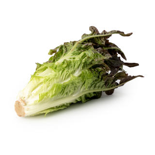 Sallat Caribu Klass 1