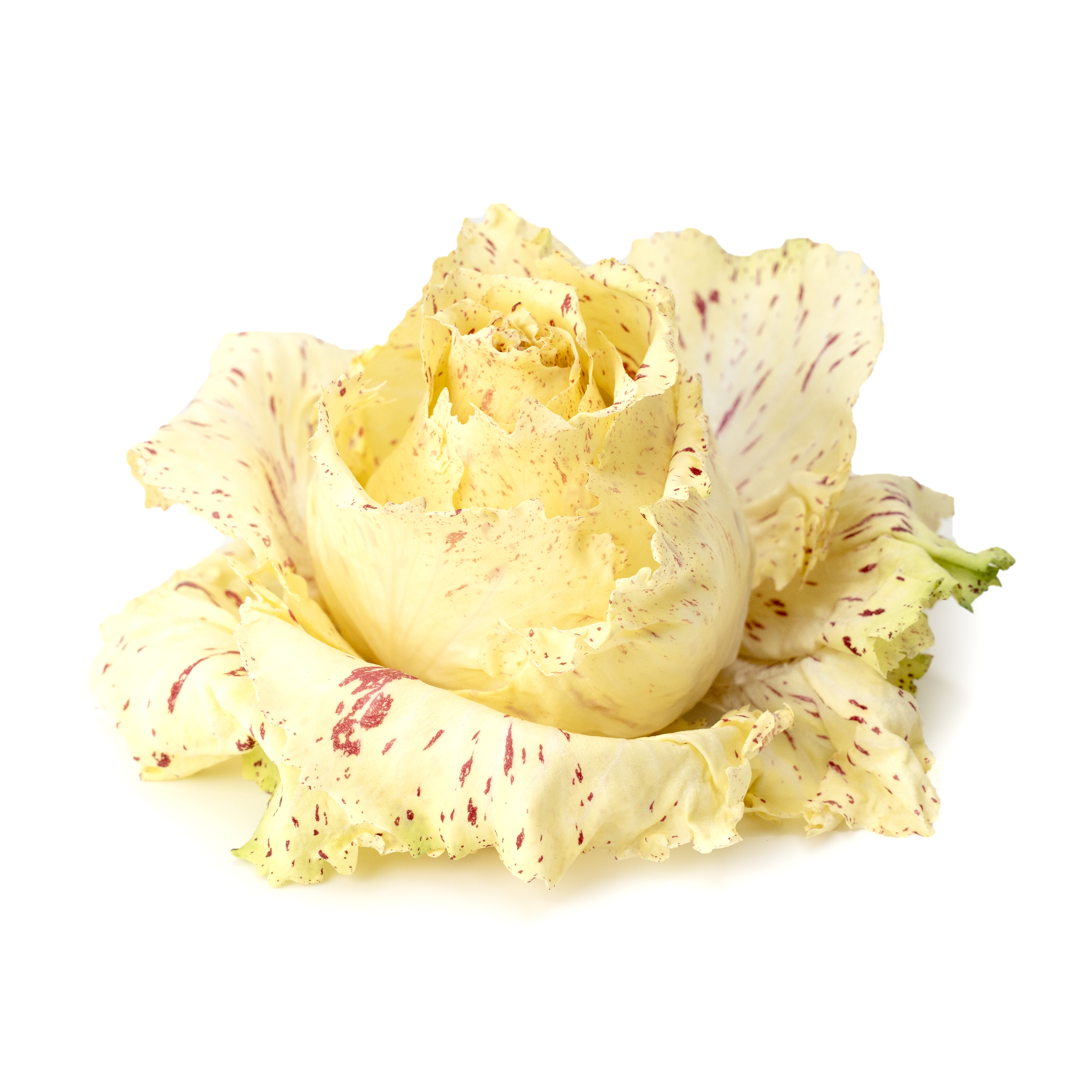 Sallat Castel Franco Klass 1