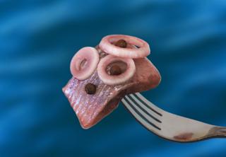 Fransk Löksill i Bit MSC