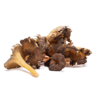 Trumpetsvamp Rödgul Sverige