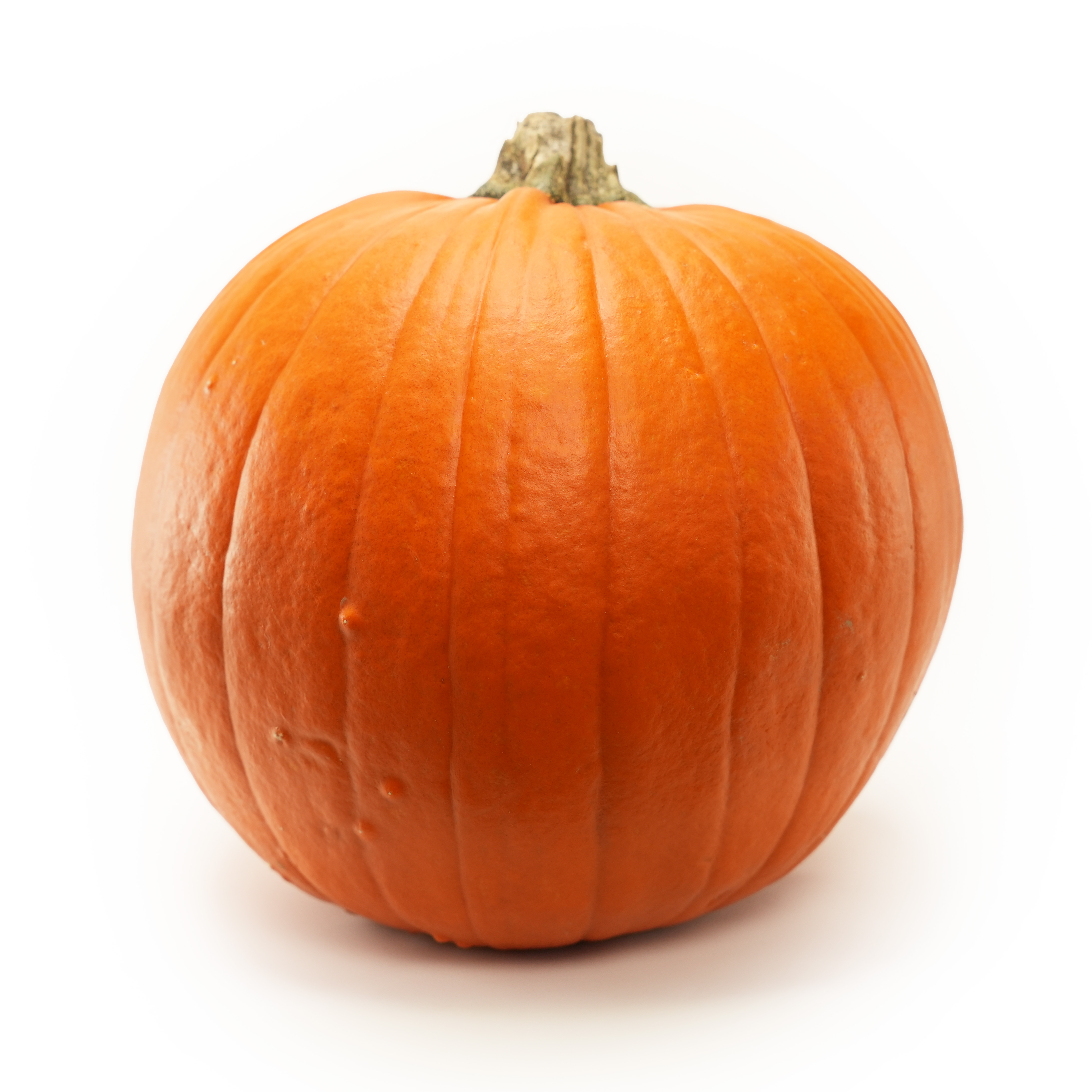 Halloweenpumpa 40-200 kg