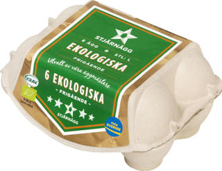 Ägg L 6-Pack EKO KRAV
