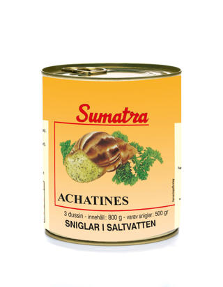 Sniglar utan Skal Achantine