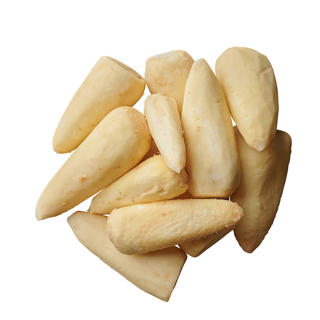 Palsternacka Skalad EKO