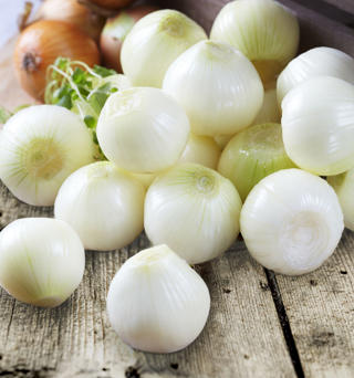 Gul Lök Hel Skalad Sverige