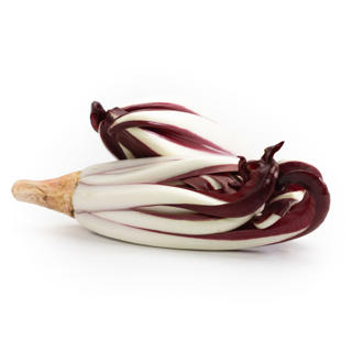 Tardivosallat Italien