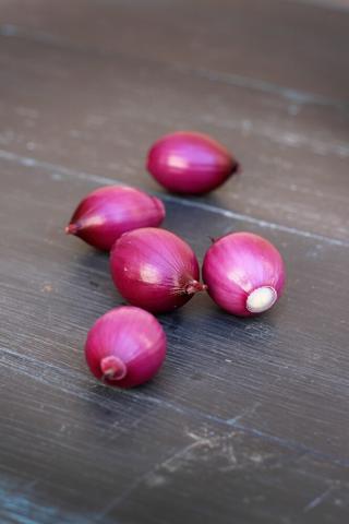 Steklök Röd Skalad