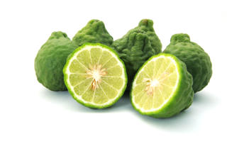 Kaffir Lime