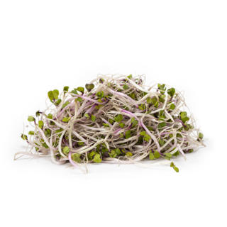 China Rose Groddar EKO KRAV Sverige