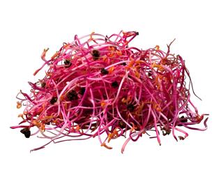 Rödbetsgroddar Sverige