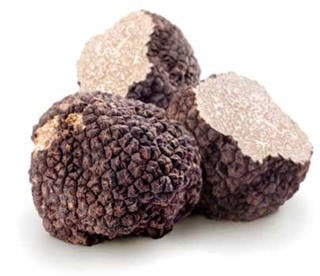 Tryffelsvamp Svart