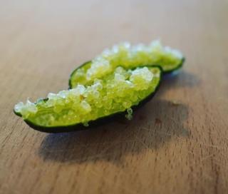 Fingerlime i Ask