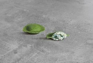 Girasole Spenat Ricotta Mangold