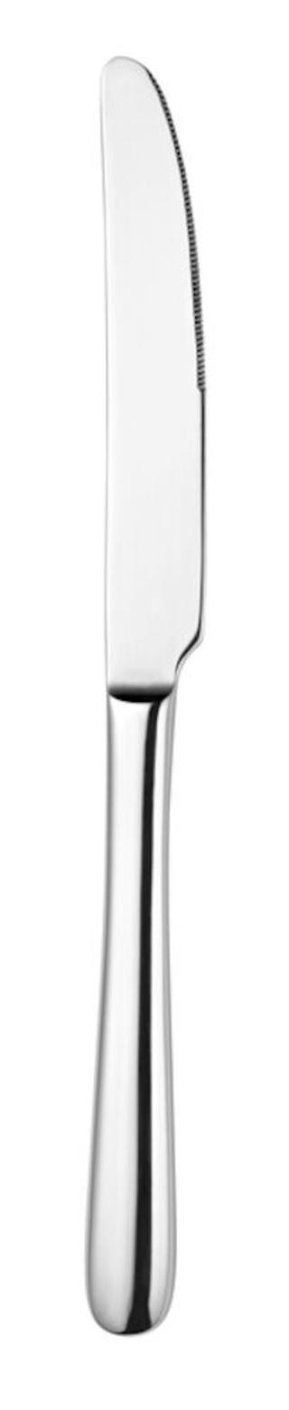 Dune bordskniv 18/10 223mm