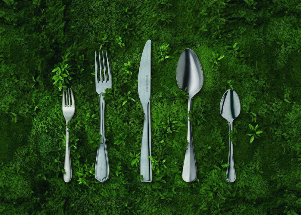 Second Life Rostfri Sked