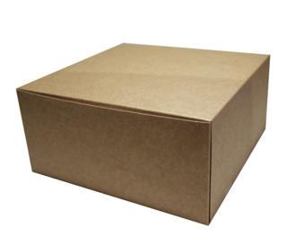 Bakelsekartong 19x19x9cm Brun/Vit