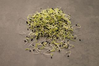 Purjolöksgroddar EKO KRAV Sverige