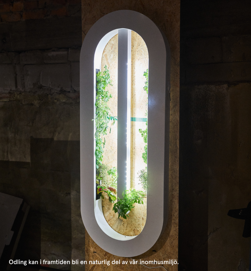 Odling kan i framtiden bli en naturlig del av vår inomhusmiljö.