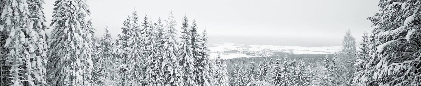 Hantverksbryggd från Sälenfjällen