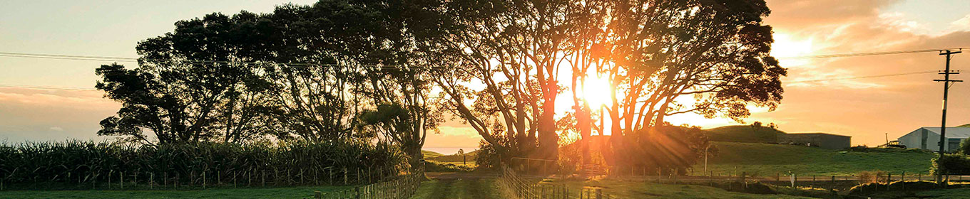 Hållbarhet - Danish Crown