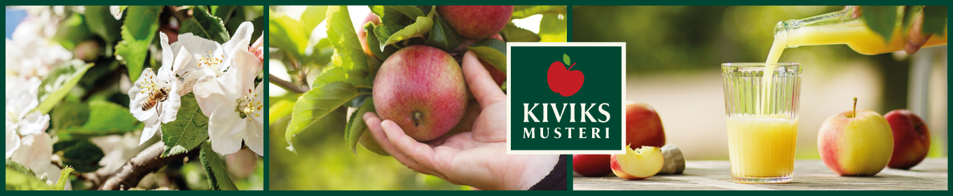 Fem generationers hantverk