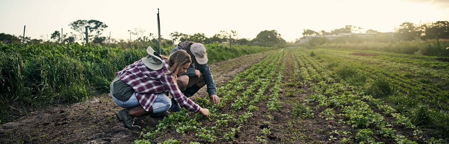 FAQ – Vanliga frågor och svar om Färskvaruhallen Menigo