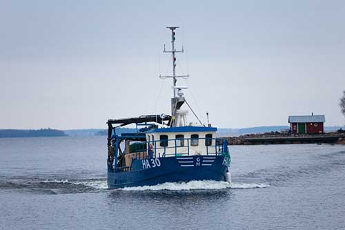 Högsäsong för löjfiske. Fiskebåtar från Guldhaven partrålar efter siklöja.