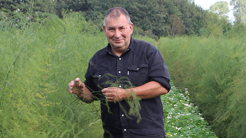 Österlen Sparris – alltid först med årets primör